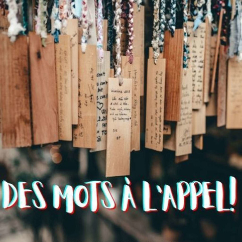 Logo de l'émission Des Mots à l'Appel saison 2024-2025 de Radio FMR Toulouse