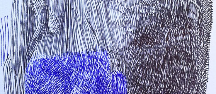 Logo de l'émission Désir Désordre saison 2024-2025 de Radio FMR Toulouse